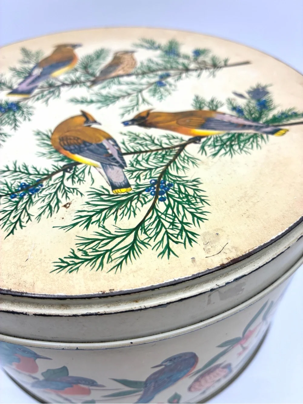 Vintage Tom Sturgis Bird Tin Round Metal Storage Box Cottagecore